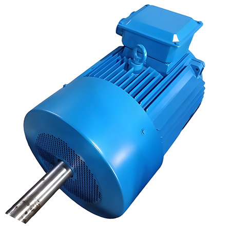 雙出軸微型電機(jī)